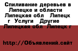 Спиливание деревьев в Липецке и области - Липецкая обл., Липецк г. Услуги » Другие   . Липецкая обл.,Липецк г.